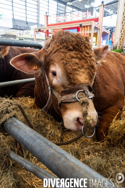 Salon International de l Agriculture 2024. Agricultural Show 2024