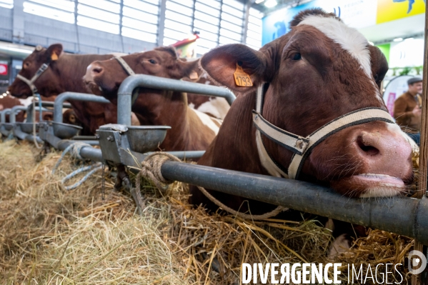 Salon International de l Agriculture 2024. Agricultural Show 2024