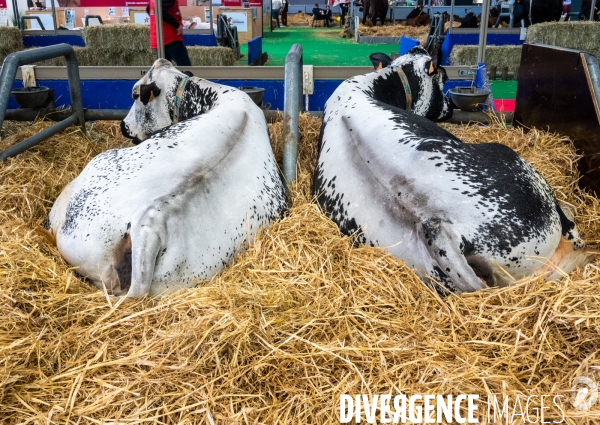 Salon International de l Agriculture 2024. Agricultural Show 2024