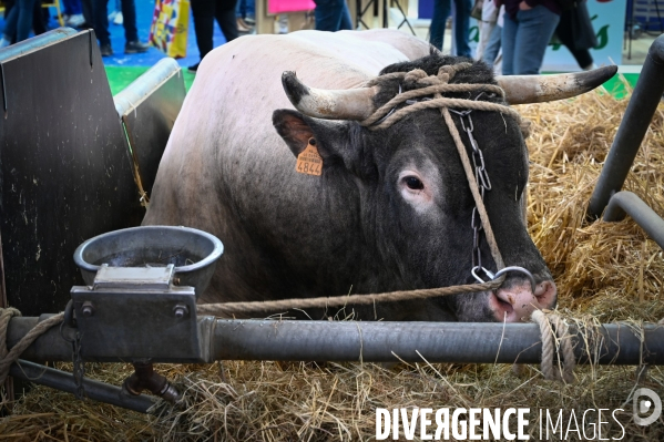 Salon International de l Agriculture 2024. Agricultural Show 2024