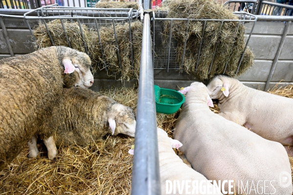Salon International de l Agriculture 2024. Agricultural Show 2024