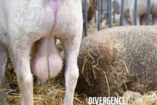 Salon International de l Agriculture 2024. Agricultural Show 2024