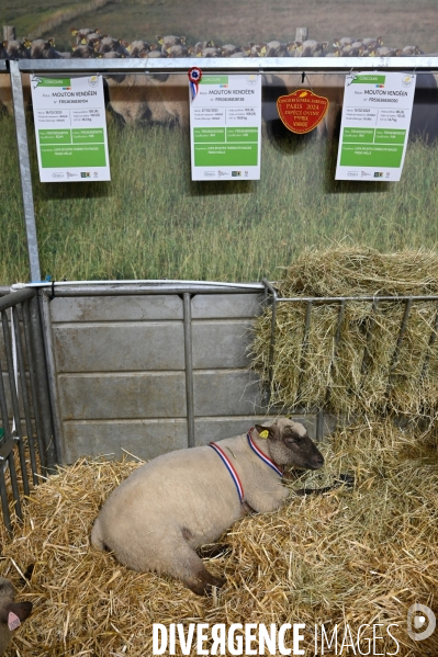 Salon International de l Agriculture 2024. Agricultural Show 2024