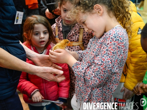 Salon de l Agriculture 2024. Les enfants viennent voir les animaux.