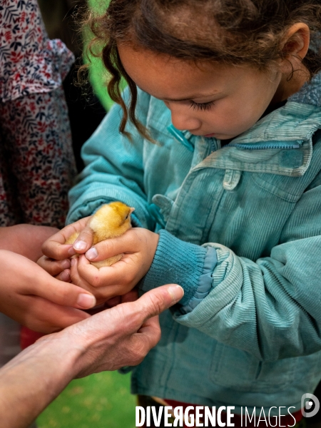 Salon de l Agriculture 2024. Les enfants viennent voir les animaux.