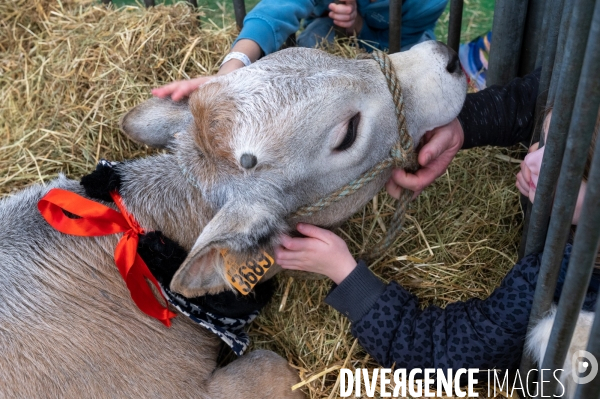 Salon de l Agriculture 2024. Les enfants viennent voir les animaux.