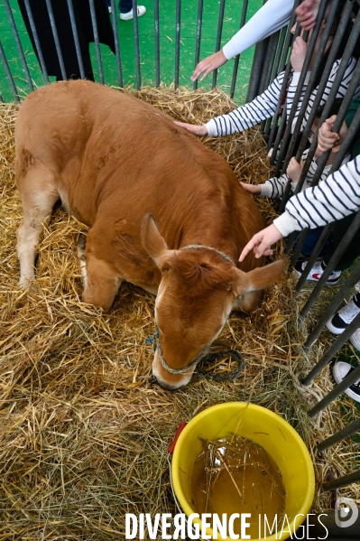 Salon de l Agriculture 2024. Les enfants viennent voir les animaux.