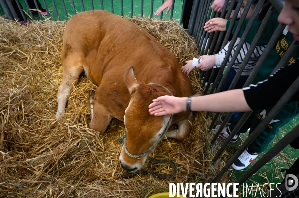 Salon de l Agriculture 2024. Les enfants viennent voir les animaux.