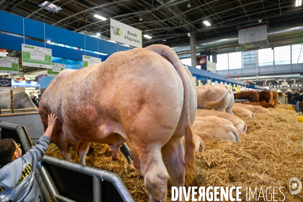 Salon de l Agriculture 2024. Les enfants viennent voir les animaux.