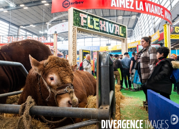 Salon de l Agriculture 2024. Les enfants viennent voir les animaux.