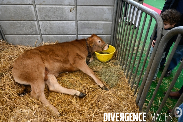 Salon de l Agriculture 2024. Les enfants viennent voir les animaux.