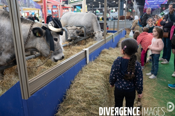 Salon de l Agriculture 2024. Les enfants viennent voir les animaux.