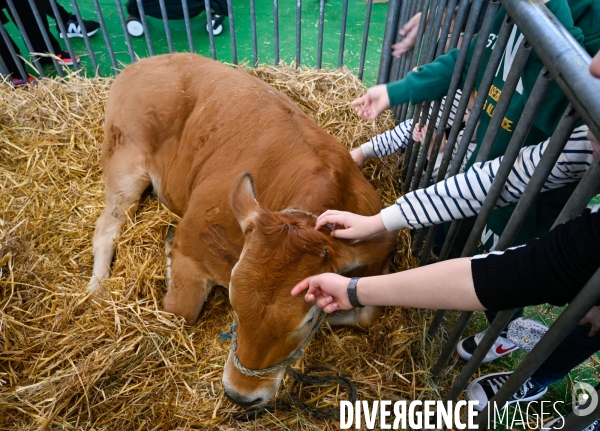 Salon de l Agriculture 2024. Les enfants viennent voir les animaux.