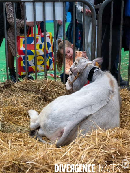 Salon de l Agriculture 2024. Les enfants viennent voir les animaux.