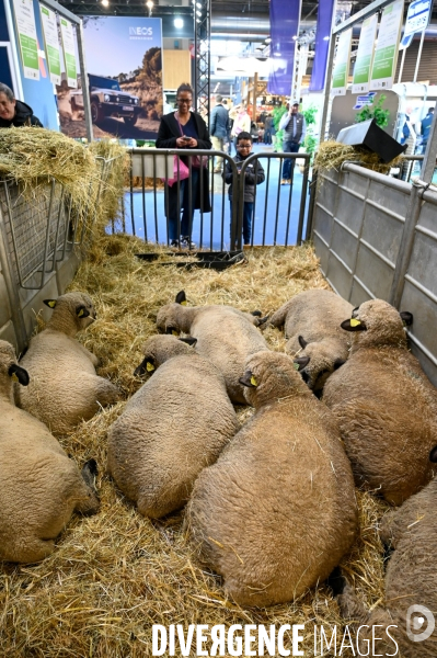 Salon de l Agriculture 2024. Les enfants viennent voir les animaux.