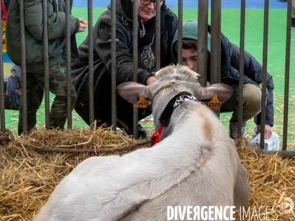 Salon de l Agriculture 2024. Les enfants viennent voir les animaux.