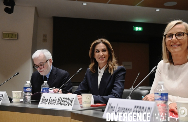 Assemblee Nationale / Audition devant la commission d enquête sur les fréquences TNT