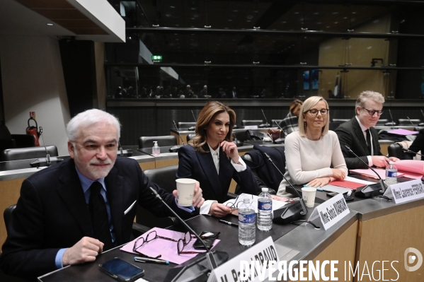 Assemblee Nationale / Audition devant la commission d enquête sur les fréquences TNT