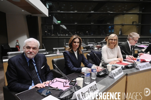 Assemblee Nationale / Audition devant la commission d enquête sur les fréquences TNT