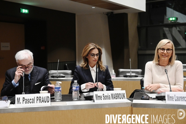 Assemblee Nationale / Audition devant la commission d enquête sur les fréquences TNT