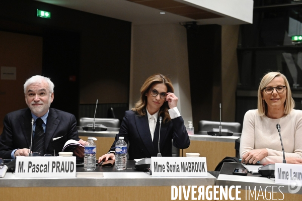 Assemblee Nationale / Audition devant la commission d enquête sur les fréquences TNT