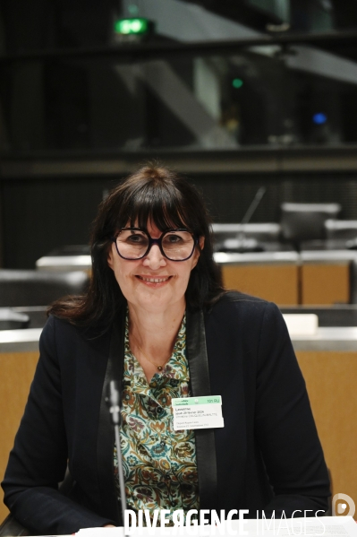 Assemblee Nationale / Audition devant la commission d enquête sur les fréquences TNT