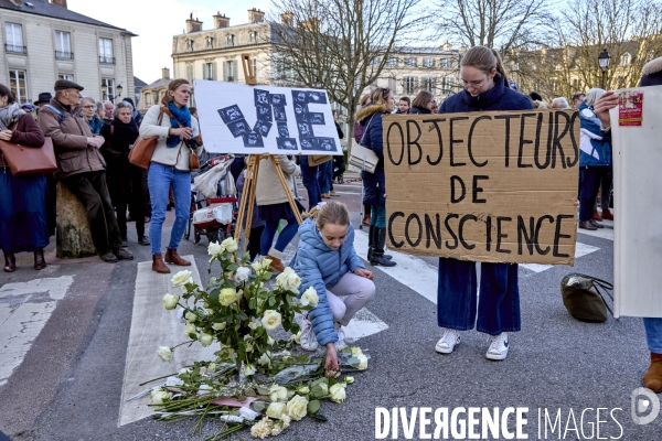 «Marche pour la vie» manifestation Versailles