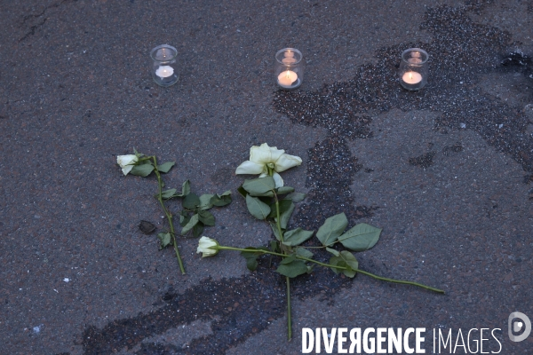 «Marche pour la vie» manifestation Versailles