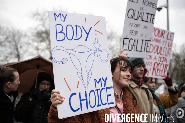 Greve feministe Dijon