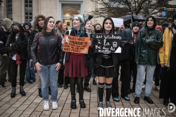 Greve feministe Dijon