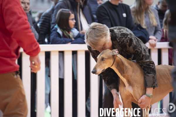 Chiens & chats au salon de l agriculture