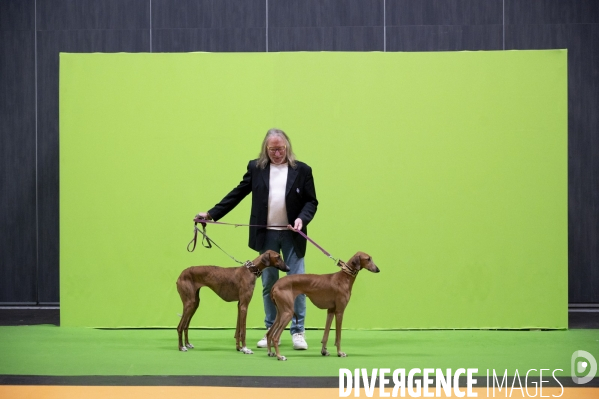 Chiens & chats au salon de l agriculture