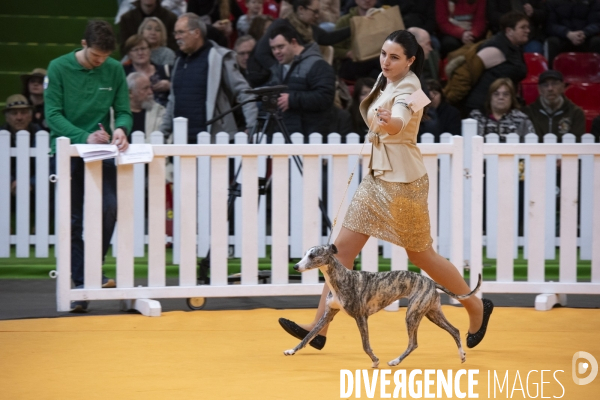 Chiens & chats au salon de l agriculture