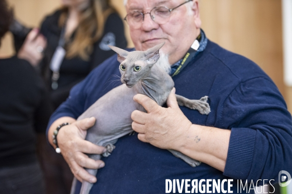 Chiens & chats au salon de l agriculture