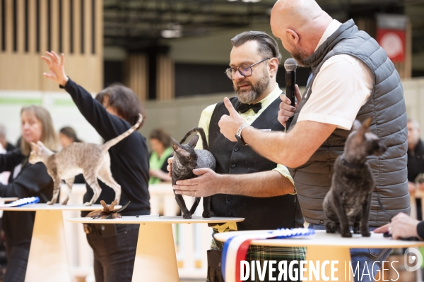 Chiens & chats au salon de l agriculture