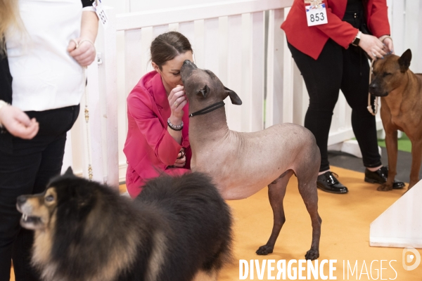 Chiens & chats au salon de l agriculture