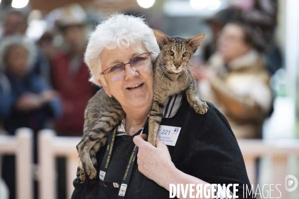 Chiens & chats au salon de l agriculture