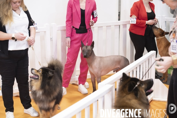 Chiens & chats au salon de l agriculture