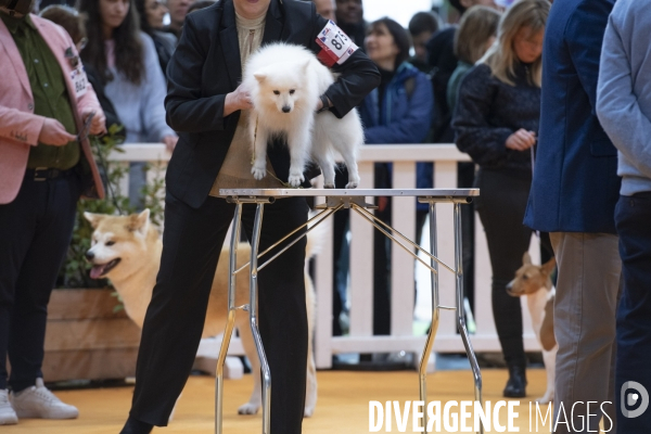 Chiens & chats au salon de l agriculture