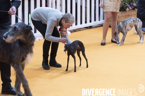 Chiens & chats au salon de l agriculture