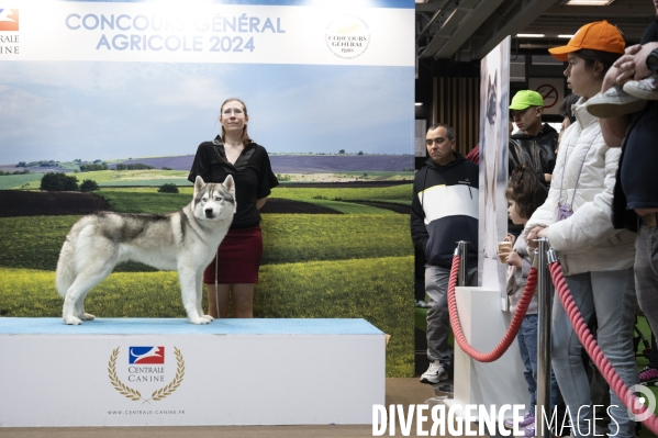 Chiens & chats au salon de l agriculture