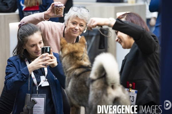 Chiens & chats au salon de l agriculture