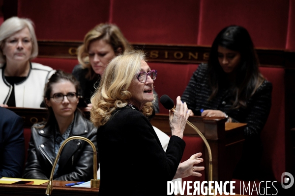 Assemblée Nationale / Questions aux gouvernement