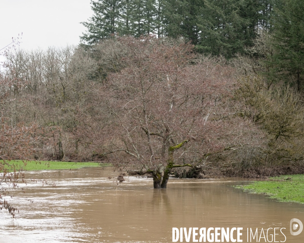 Inondations - riviere en alerte vigicrue
