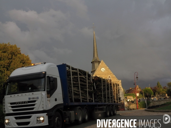 Divers vie quotidienne en zone rurale