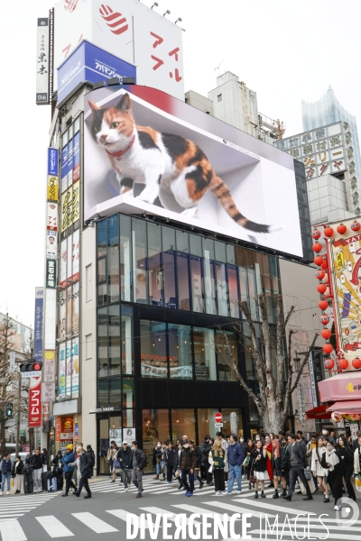 Un chat geant en 3 d dans un billboard a tokyo