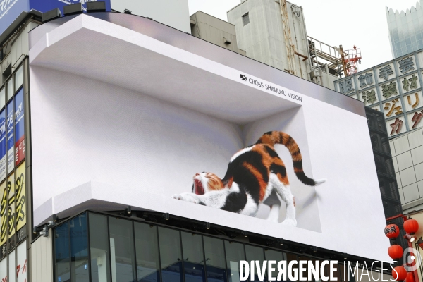 Un chat geant en 3 d dans un billboard a tokyo