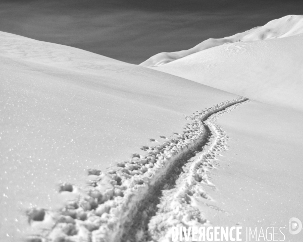 Mon Hiver à l envers # FIN
