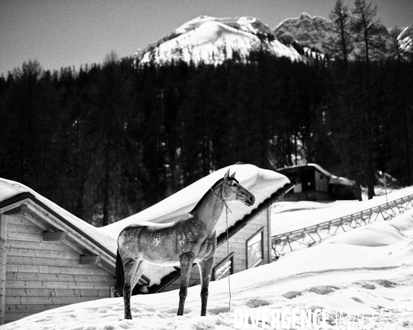 Mon Hiver à l envers # FIN