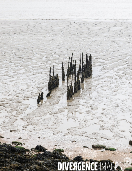 Erosion à St Brévin